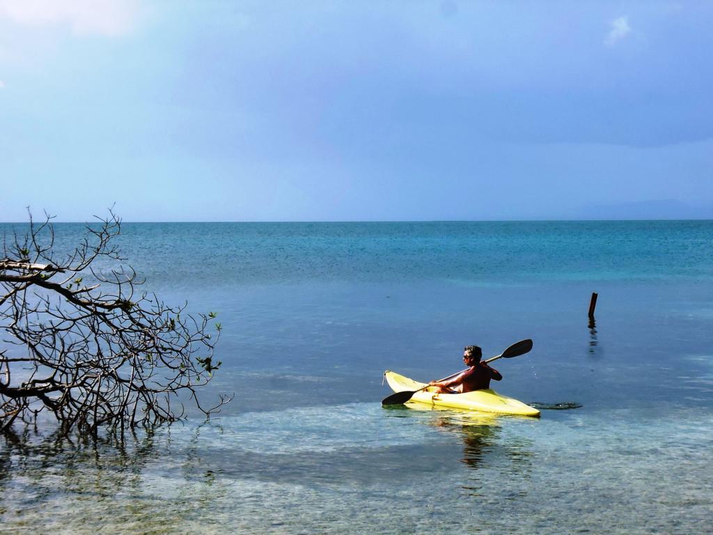k1024_kayak_cayo_iguana