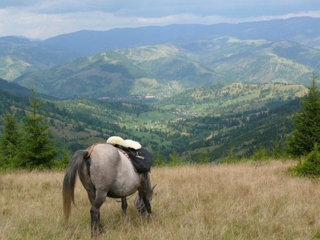 Reiterurlaub in den Karpaten