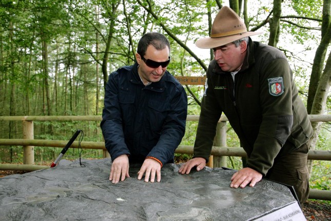 Wilder Kermeter, Foto: Nationalparkverwaltung Eifel, U. Giesen