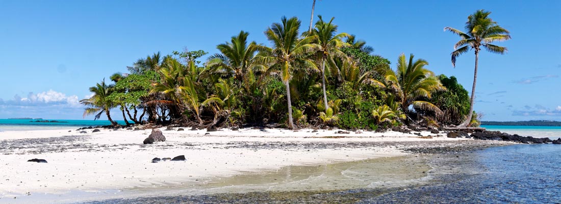 Cook Islands: Palmeninsel